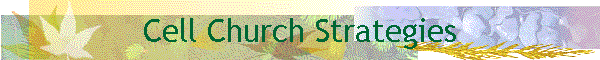 Cell Church Strategies