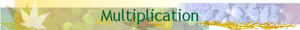 Multiplication